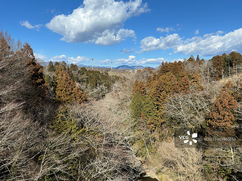 御殿场奥特莱斯彩色树林图片素材