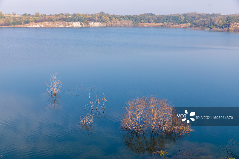 苏州西山元山宕口孤独的树图片素材