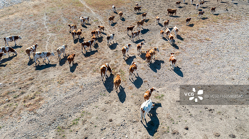 乌兰毛都草原图片素材