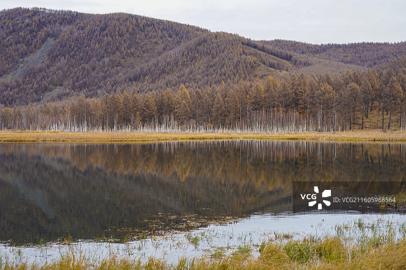 阿尔山国家森林公园,乌苏浪子湖,秋天的自热风光图片素材