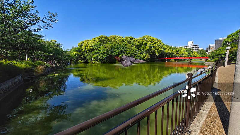 日本大阪四天王寺公园紧邻四天王寺，园内花木繁茂，有池塘点缀，与古寺建筑相映成趣，充满宁静禅意。图片素材