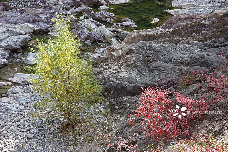 陕西省咸阳市泾阳县郑国渠泾河大峡谷：五彩滩碧水红叶图片素材