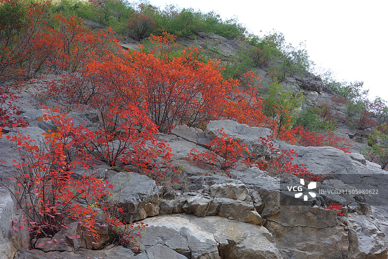陕西省咸阳市泾阳县郑国渠泾河大峡谷红叶彩林：映月潭图片素材