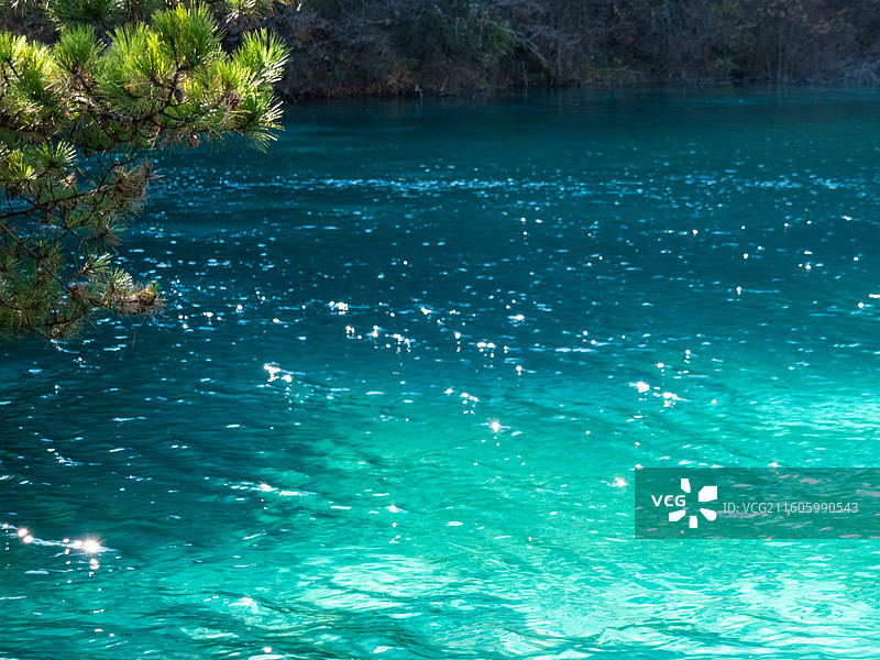 四川阿坝州九寨沟景区-双龙海图片素材