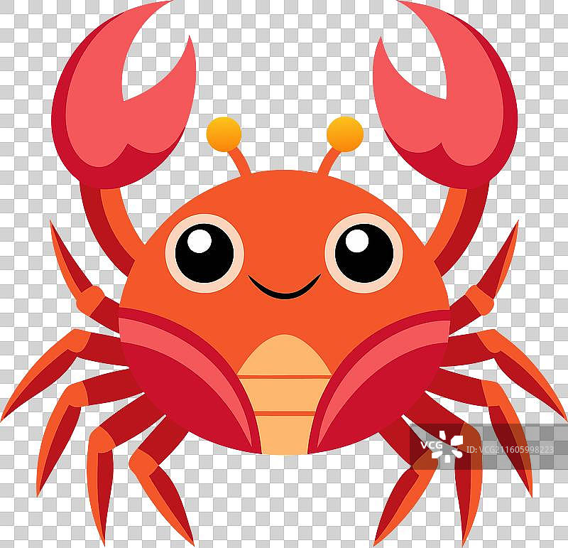 可爱的墨鱼章鱼学习图片素材