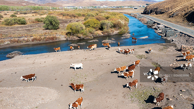 乌兰毛都草原图片素材