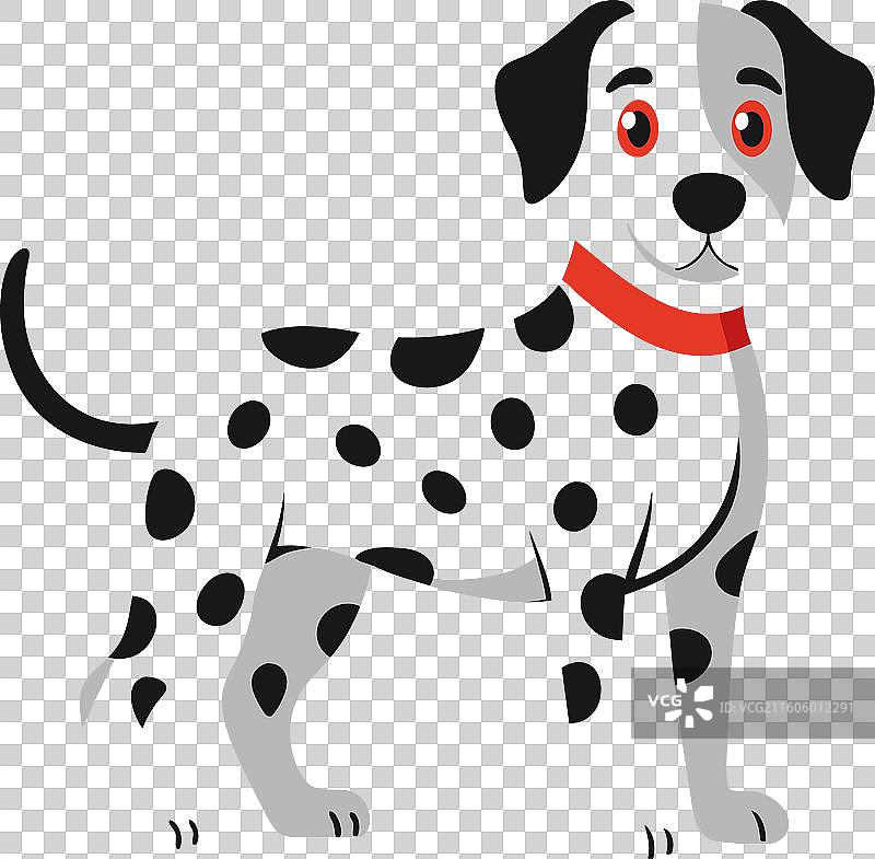 可爱的斑点狗图片素材