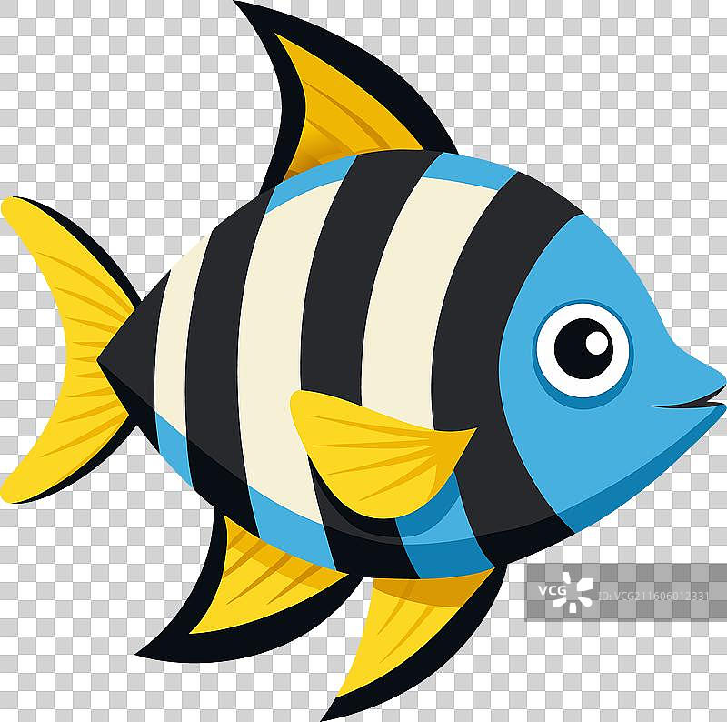 可爱的小海葵鱼图片素材