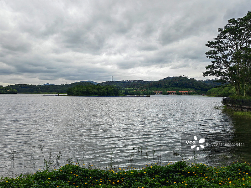 鹭湖风光 佛山，高明区，鹭湖度假区，鹭湖风光无限图片素材