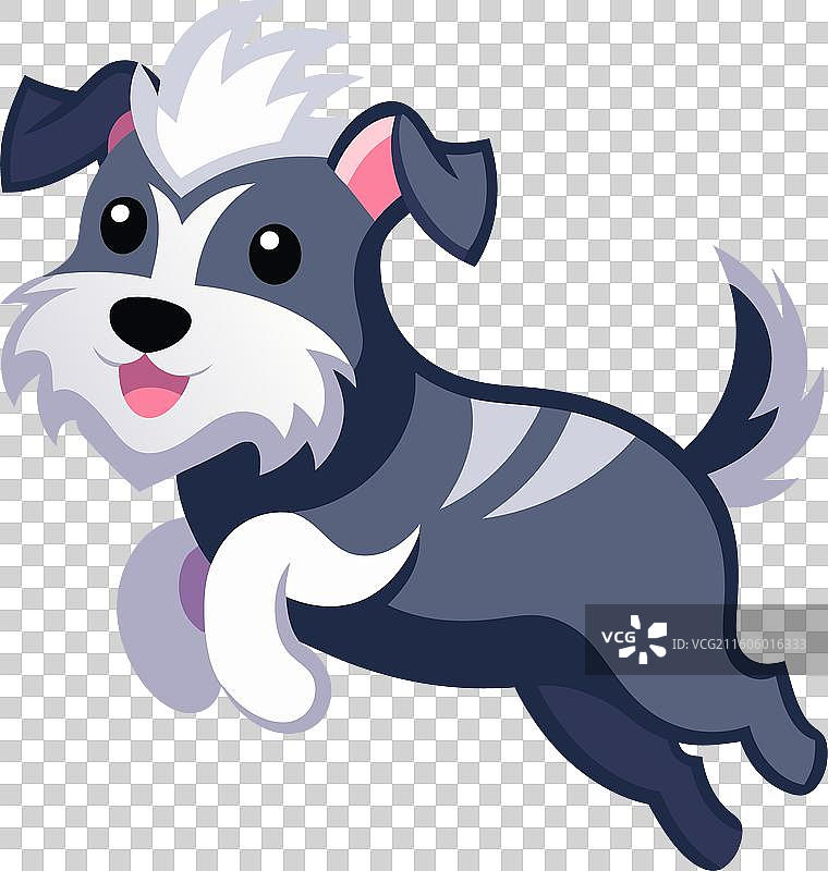 丹迪迪蒙特梗犬可爱地跳跃图片素材