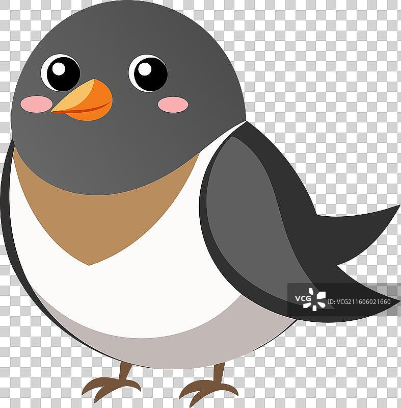 黑眼林莺跳舞卡哇伊图片素材