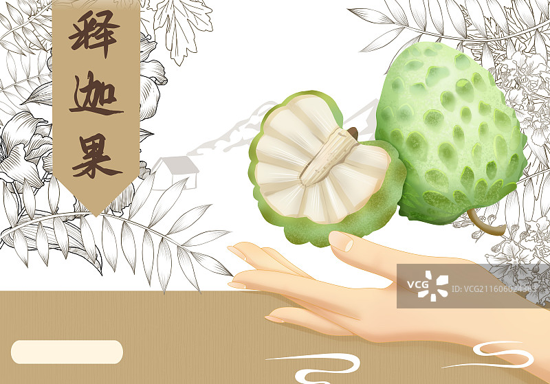 释迦果横板插画图片素材
