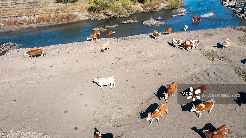 乌兰毛都草原图片素材