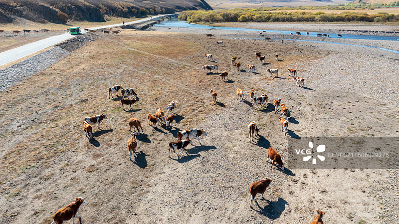 乌兰毛都草原图片素材