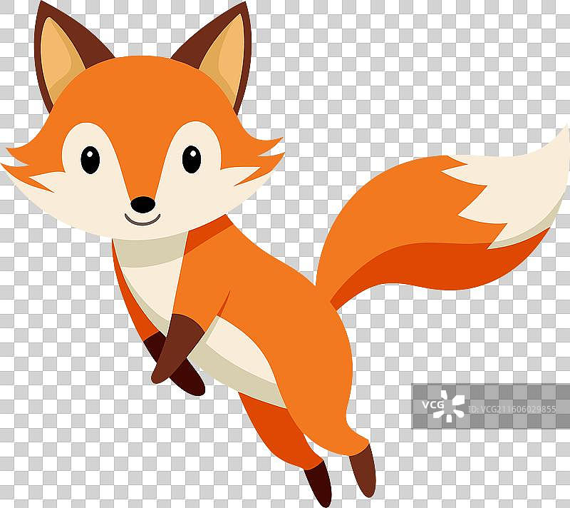 达尔文狐狸跳跃，可爱图片素材