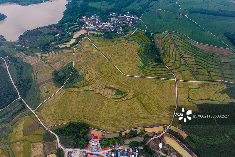 广西防城港市上思县在妙镇佛子村田园风光图片素材