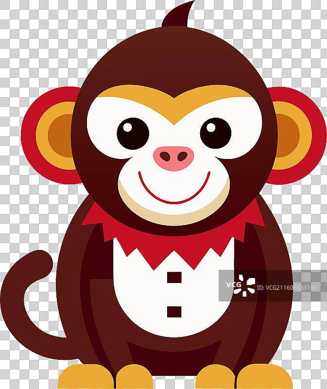 可爱的巴西狨猴图片素材