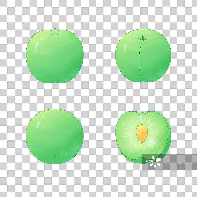 中国二十四节气惊蛰水果青梅矢量元素插画图片素材