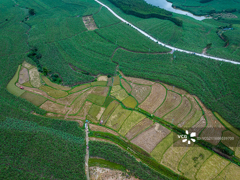 广西防城港市上思县在妙镇佛子村田园风光图片素材