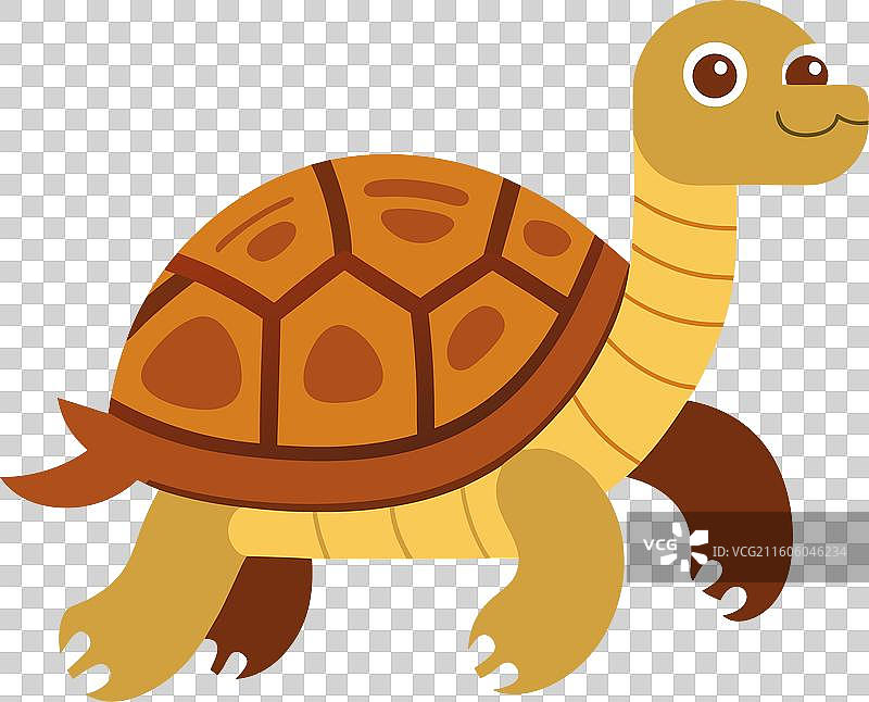 沙漠龟可爱地奔跑图片素材