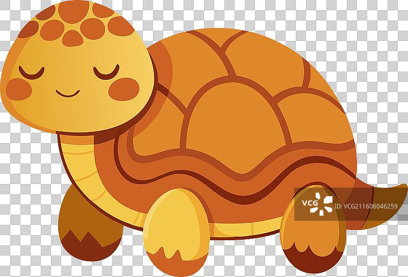 沙漠龟可爱地睡着了图片素材