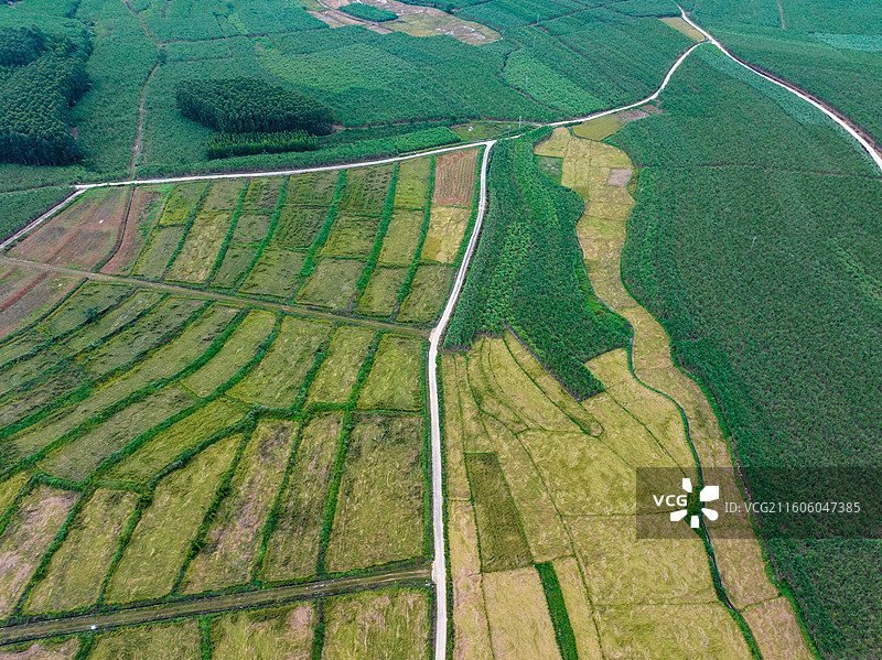 广西防城港市上思县在妙镇佛子村田园风光图片素材