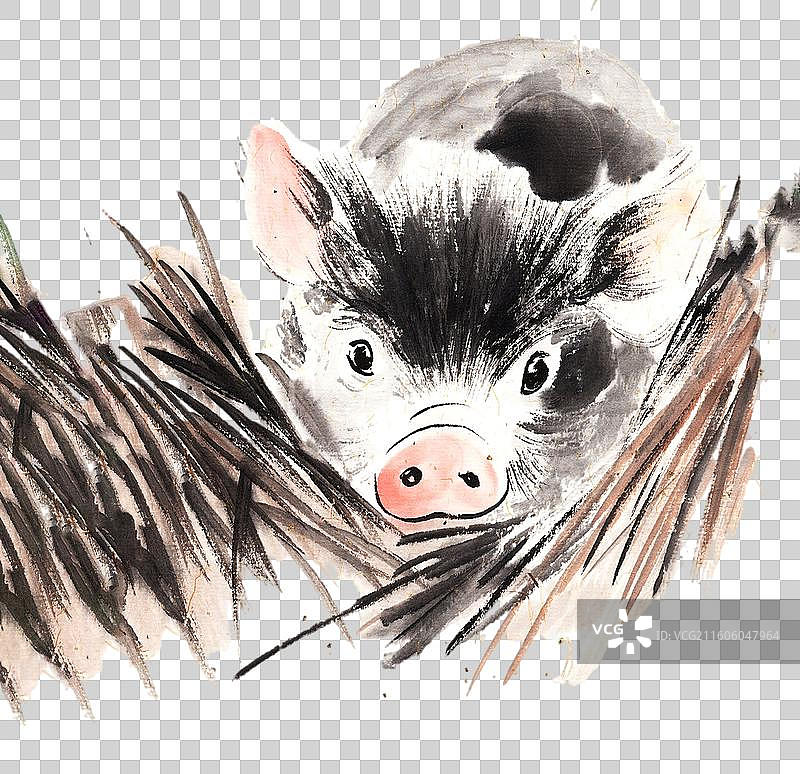 生肖 猪 可爱 水墨动物图片素材