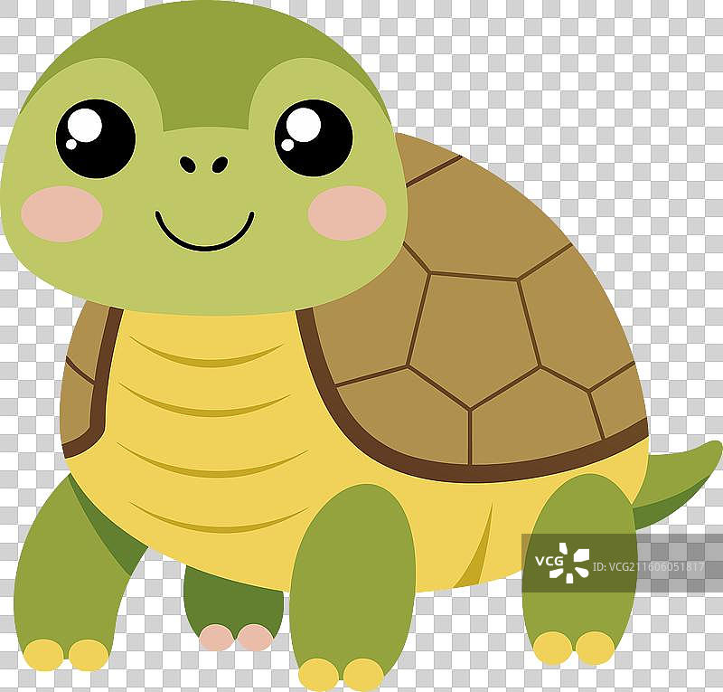 沙漠龟 乌龟 微笑 卡哇伊图片素材