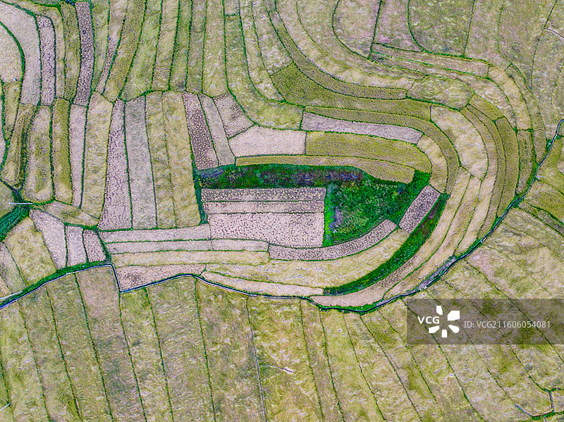 广西防城港市上思县在妙镇佛子村田园风光图片素材