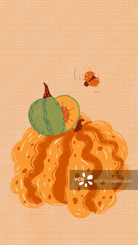 可口南瓜图片素材