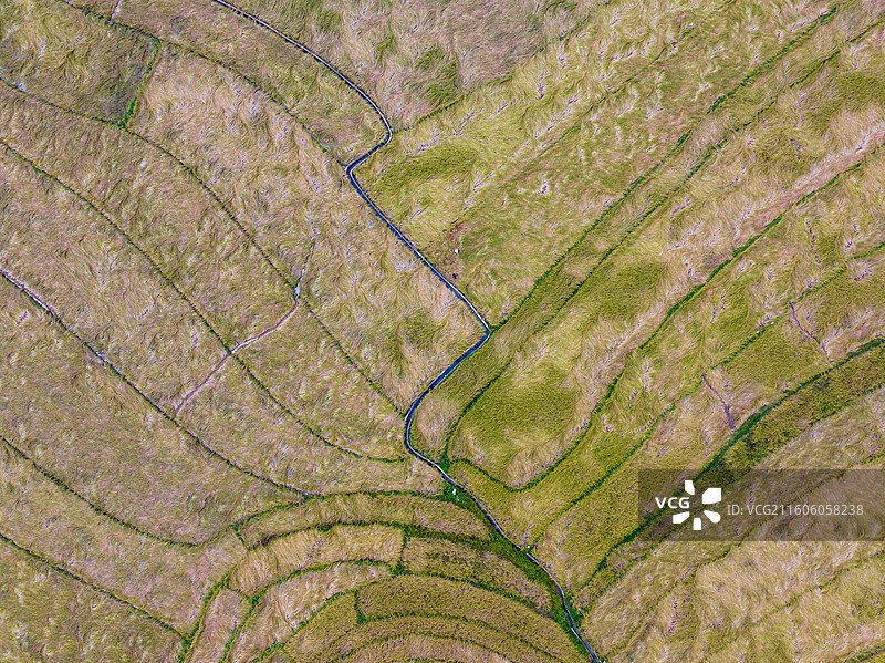 广西防城港市上思县在妙镇佛子村田园风光图片素材