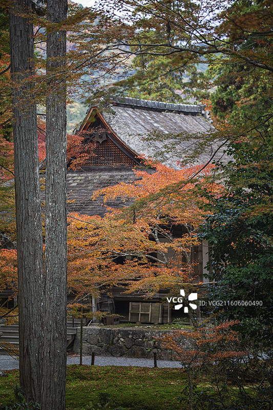 日本京都大原三千院的秋季风光图片素材
