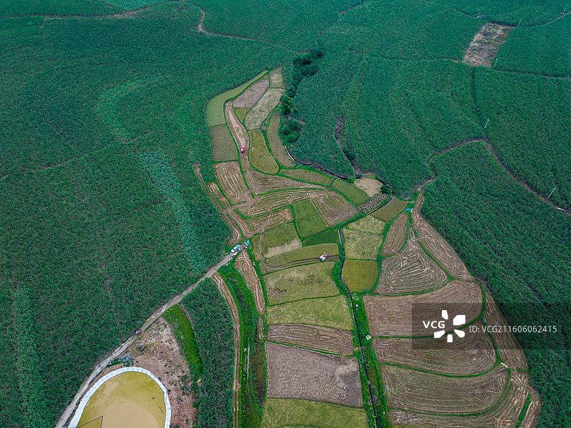 广西防城港市上思县在妙镇佛子村田园风光图片素材