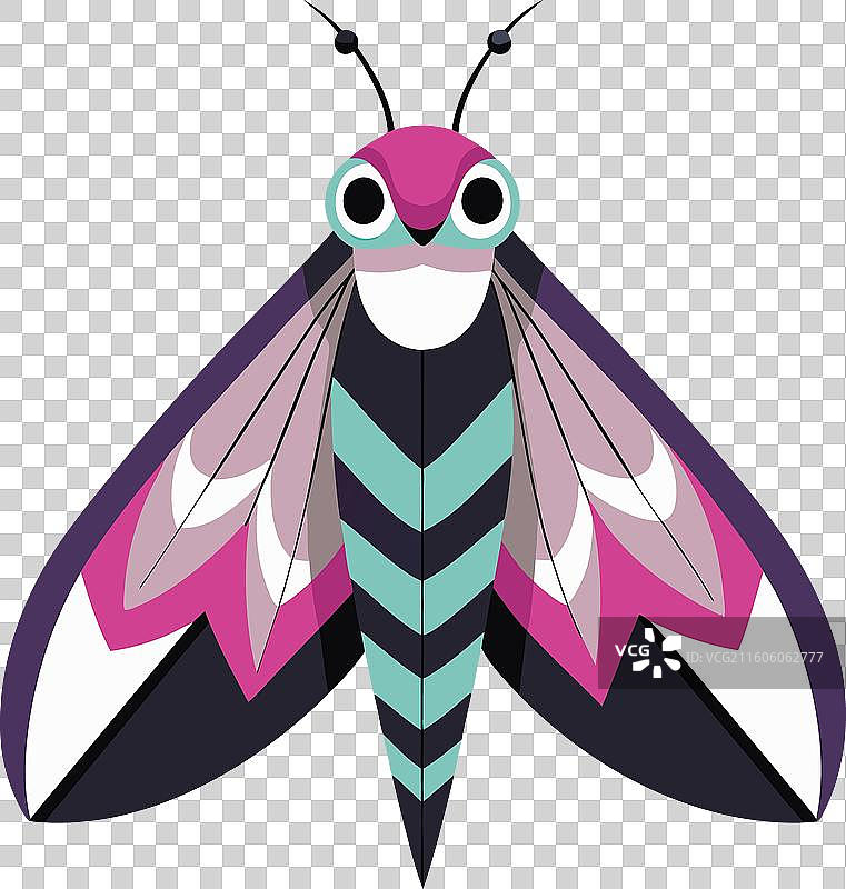 小巧可爱的斜纹夜蛾跳跃图片素材