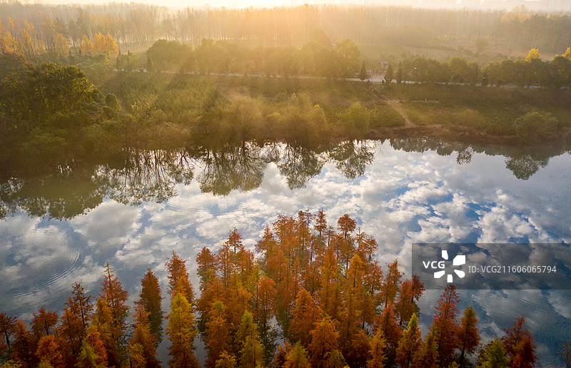 安徽庐阳董铺国家湿地公园红杉林美景图片素材