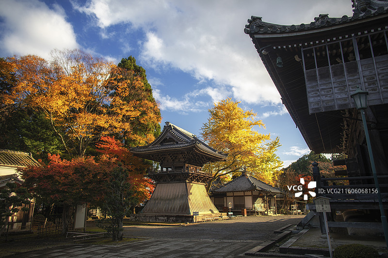 日本滋贺县西教寺的秋季风光图片素材