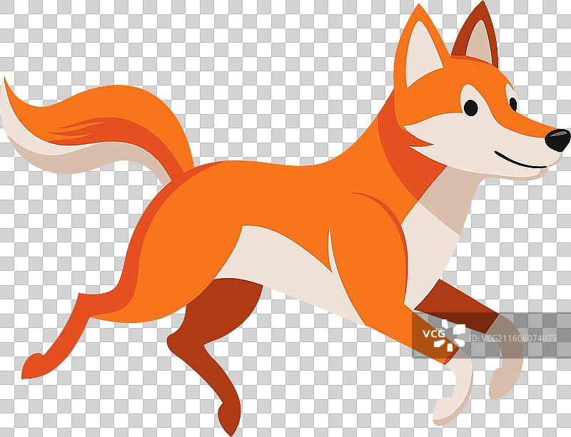 可爱风格的澳洲野狗奔跑图片素材