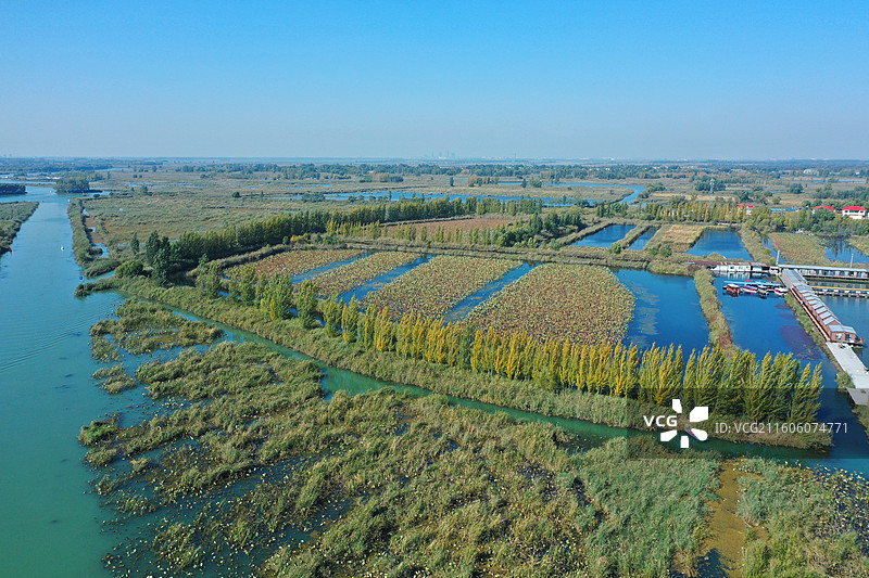 初冬色彩愈斑斓，银杏枫林绘锦笺 鸿雁排云书碧落，轻舟剪雾赛神仙 科幻新城萦瑞气，明珠古淀耀华年图片素材
