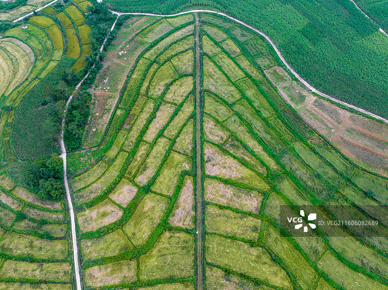 广西防城港市上思县在妙镇佛子村田园风光图片素材