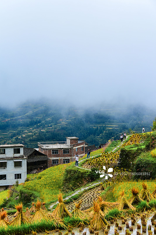 贵州堂安侗寨、堂安梯田图片素材