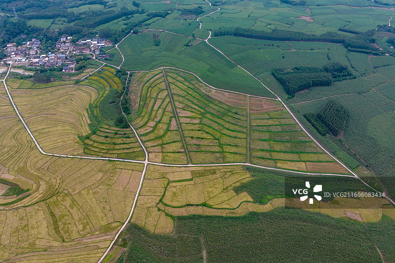 广西防城港市上思县在妙镇佛子村田园风光图片素材
