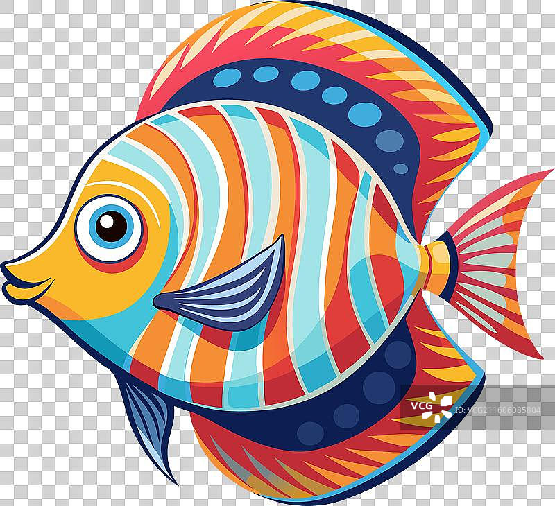 可爱的七彩神仙鱼在跳舞图片素材