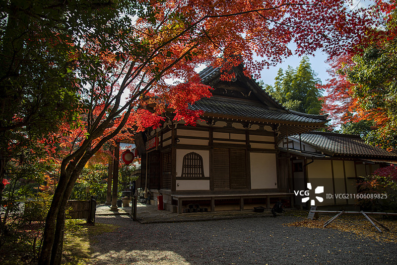 日本京都赤山禅院的秋季风光图片素材