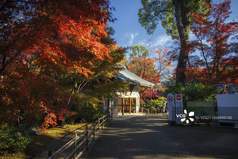 日本京都长冈天满宫的秋季风光图片素材