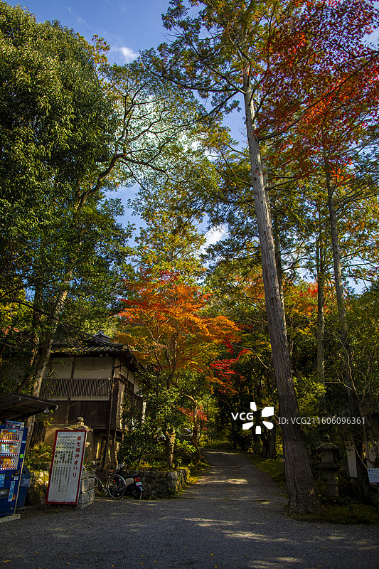 日本京都赤山禅院的秋季风光图片素材