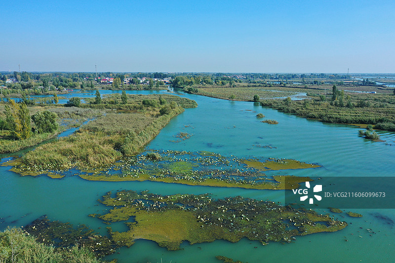 初冬色彩愈斑斓，银杏枫林绘锦笺 鸿雁排云书碧落，轻舟剪雾赛神仙 科幻新城萦瑞气，明珠古淀耀华年图片素材