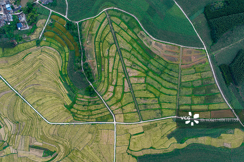 广西防城港市上思县在妙镇佛子村田园风光图片素材