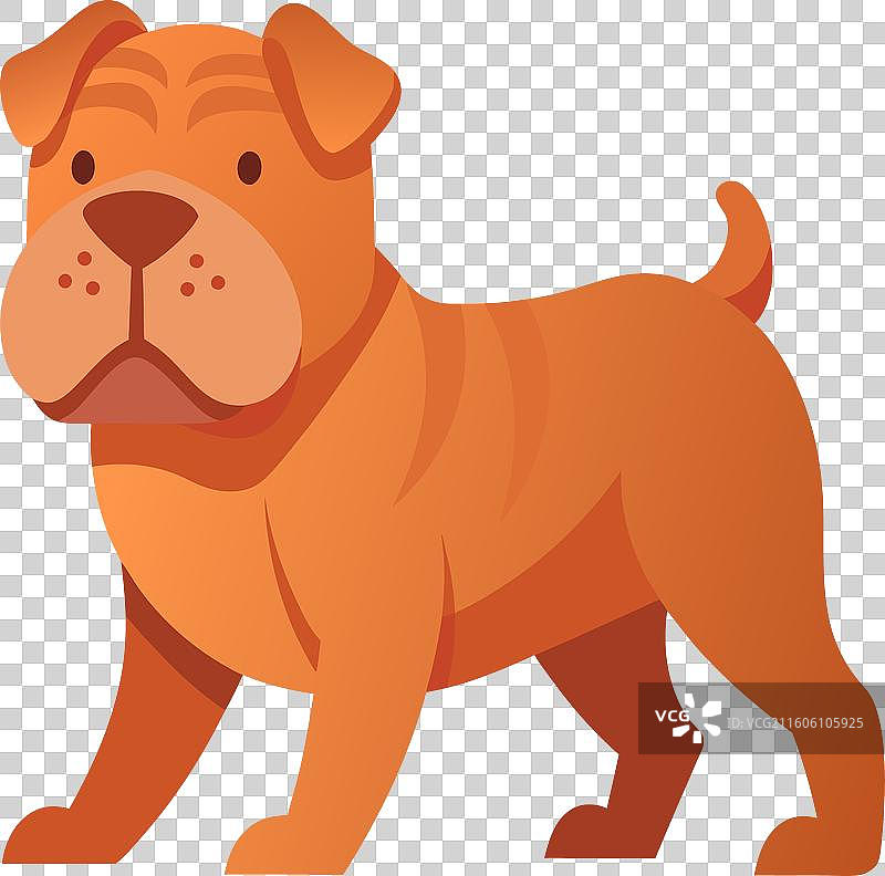 法国獒犬可爱地散步图片素材