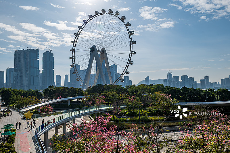 摩天轮与花低角度俯视图图片素材