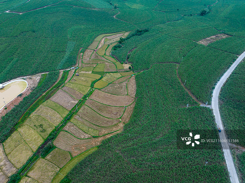 广西防城港市上思县在妙镇佛子村田园风光图片素材